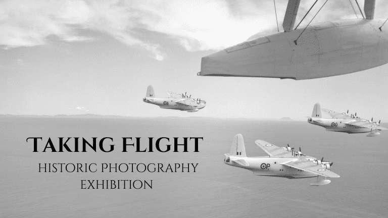 Taking Flight (Poster for website) (768 × 432px)